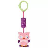 Подвесная игрушка Bright Starts Сова (8674-5) розовый/фиолетовый