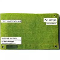 Брезентовая штора для гаража, тент, полог огнеупорный универсальный 200х300 см