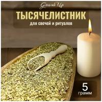 Сухая трава Тысячелистник для свечей и ритуалов, 5 гр