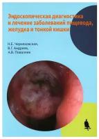 Чернеховская Н.Е., Андреев В.Г., Поваляев А.В. 