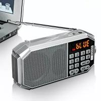 Портативный Цифровой Мини Радиоприемник Degen DE661B, Диапазон FM, DSP-процессор, Bluetooth 5.0, Поддержка MP3, Питание от Сети и Аккумулятора 18650