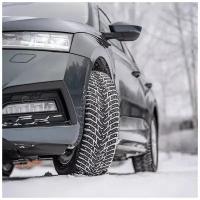 Шины для легковых автомобилей Nokian Tyres Nordman 8 R14 175/65 86T шип XL