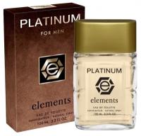 TODAY PARFUM (Delta parfum) Туалетная вода мужская PLATINUM ELEMENTS