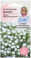 Лен Диамант многолетний 10 шт, семена многолетних цветов для сада дачи и дома