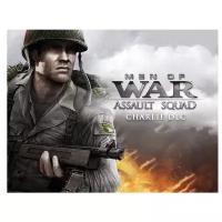 Men of War: Assault Squad - MP Supply Pack Charlie DLC электронный ключ PC Steam