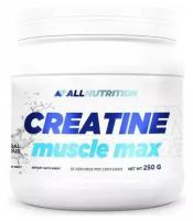 Креатин моногидрат All Nutrition Creatine Muscle Max нейтральный 250 гр