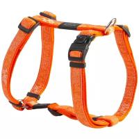 Rogz Шлейка серия Fancy dress размер S (см) ширина 1,1 см Веселая прогулка (H-HARNESS) SJ01CP | H-HARNESS 0,028 кг 38339