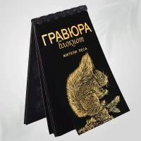 Гравюра книга блокнот скретч картина для детей LORI Жители леса 10х15 см, 9 листов с контуром, Им-Гр-008