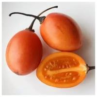 Семена Тамарилло оранжевый, Цифомандра, Томатное дерево 5шт