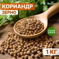 Кориандр зерно, семена кориандра 1000 г (целый, в зернах), orexland