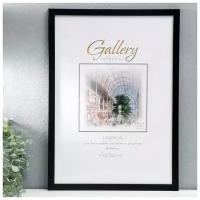 Фоторамка пластик Gallery 29,7х42 см, 641877, чёрный