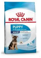 Royal Canin Maxi Puppy для щенков крупных пород Курица, 3 кг