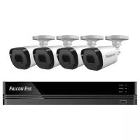 Комплект видеонаблюдения Falcon Eye FE-104MHD KIT ДАЧА SMART