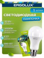 Светодиодная лампа Ergolux LED-A60-12W-E27-4K