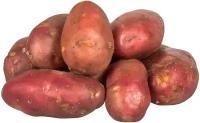 Картофель сорта Беллароза, 2 кг в сетке, класса Люкс, семенной тип селекционный высшего качества с премиальным вкусом, репродукция Супер Элита