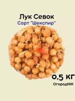 Лук Севок сорт,