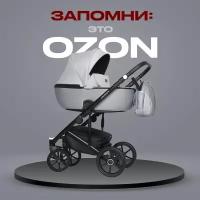 Коляска детская универсальная Riko Basic Ozon Shine 2 в 1 серый