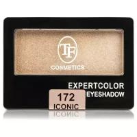 Тени для век Triumph Expertcolor Eyeshadow Iconic 172 золотая дымка