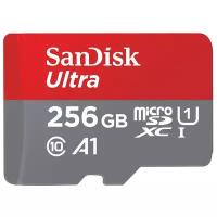 Карта памяти SanDisk microSDXC 256 ГБ Class 10, A1, UHS Class 1, R 100 МБ/с, адаптер на SD, 1 шт