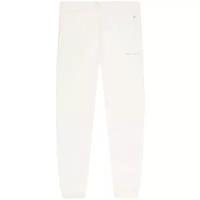 Штаны Champion Eco Future Organic Cotton Blend Sweatpants