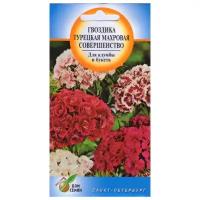 Гвоздика многолетняя Совершенство, турецкая махровая высокая, 40 семян