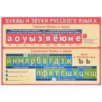 Плакат Творческий Центр СФЕРА Буквы и звуки русского языка