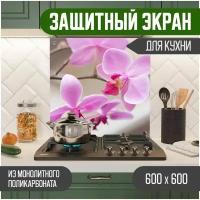 Защитный экран для кухни 600 х 600 х 3 мм 