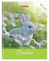 BRAUBERG Дневник 5-11 класс, 48 л., твердый, brauberg, глянцевая ламинация, с подсказом, милый кролик, 105575, 7 шт