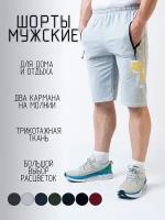 Шорты (бриджи) мужские AUTHENTIC, серый, размер 56/3XL, талия 94-98 см