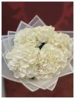 Букет Гортензия белая, красивый букет цветов, шикарный, цветы премиум