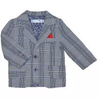 Пиджак Chadolls для мальчиков, карманы, размер 92, серый