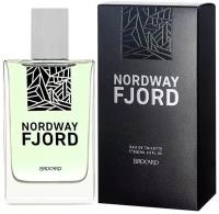 Brocard Мужской Nordway Fjord Туалетная вода (edt) 100мл