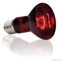 Лампа для террариума Hagen Exo-Terra Heat Glo Infrared 50Вт