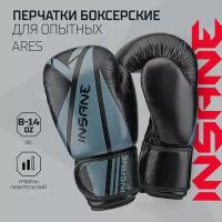 Перчатки боксерские INSANE ARES IN22-BG300, кожа, черный, 10 oz