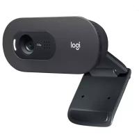 Вебкамера Logitech C505 960-001364