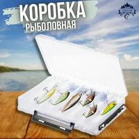 Коробка рыболовная двухсторонняя / контейнер для приманки / органайзер рыболовный 27х18х5 см прозрачно-черный