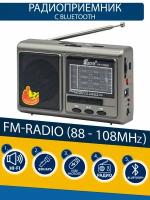 Радиоприемник AM-FM-SW с bluetooth, фонарем и аккумулятором FP-1781BT0 Fepe