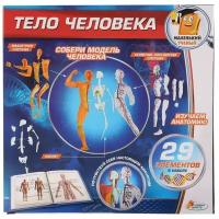 Набор Играем вместе Тело человека (KY-10002)