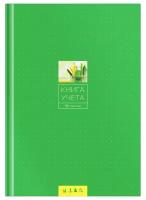Книга учета OfficeSpace А4, 96 листов, линия, 200х290 мм, твердый переплет, 7БЦ, блок газетный (153187 / CL-98-726)