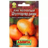 Лук репчатый 