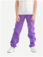 Фиолетовые штанишки из хлопка на 2 года (92 см)