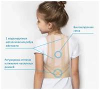 Корректор осанки (реклинатор) ортопедический для детей Крейт Е-11 размер 2, бежевый (обхват талии 50-60 см, 2 металлических ребра жесткости)