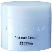 Meishoku Hyalcollabo Moisture Cream Глубокоувлажняющий крем