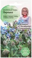 Огуречная трава Окрошка 0,5 г, семена зелени для проращивания и посадки для балкона, зелень для салата