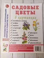 Садовые цветы в картинках. Наглядное пособие для педагогов, логопедов, воспителей и родителей (Гном)