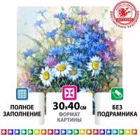 Картина стразами (алмазная мозаика) 30*40см, остров сокровищ 