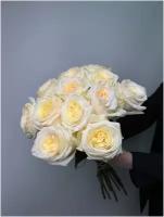 Роза белая Кэндллайт 60см