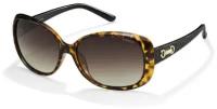 Солнцезащитные очки POLAROID P8430 коричневый
