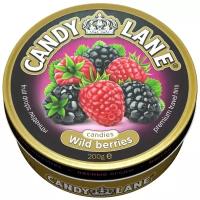 Candy lane Леденцы лесные ягоды, 200 г, жестяная банка