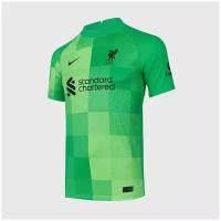 Футболка вратарская Nike Liverpool сезон 2021/22 DB2567-330